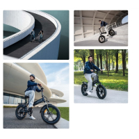 Yadea Rover vouwfiets met 624 wh accu 